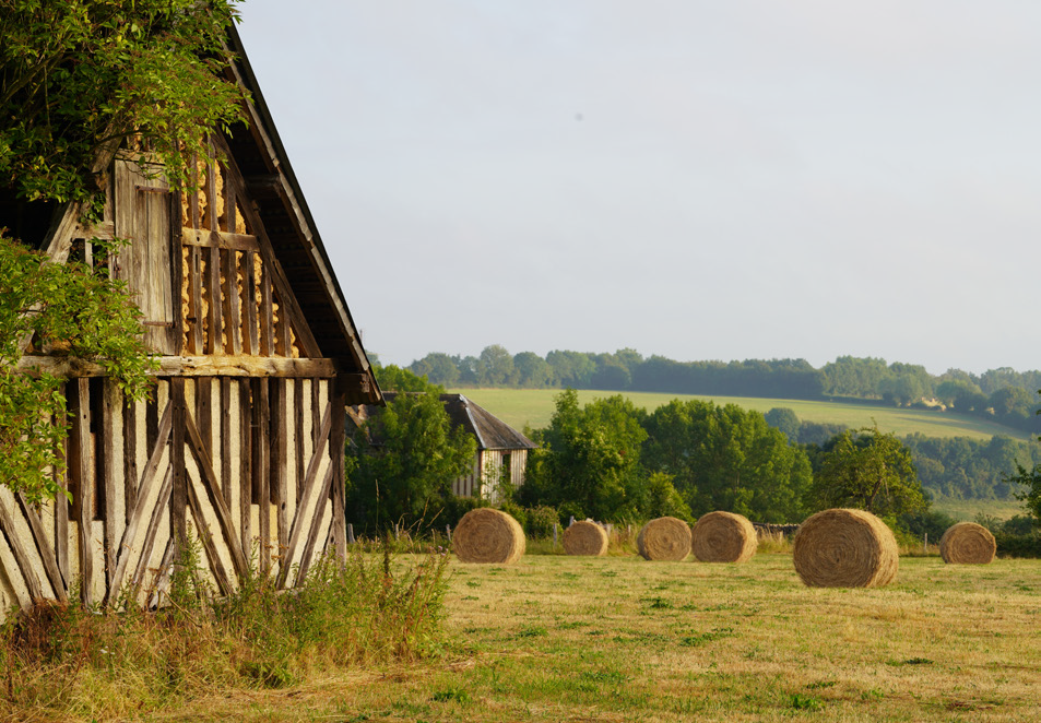 Ländliche Szene mit einer alten Fachwerkscheune am linken Bildrand und mehreren runden Heuballen auf einer gemähten Wiese. Im Hintergrund erstrecken sich Bäume und sanfte grüne Hügel unter hellem Himmel.